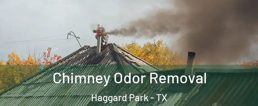 Chimney Odor Removal Haggard Park - TX