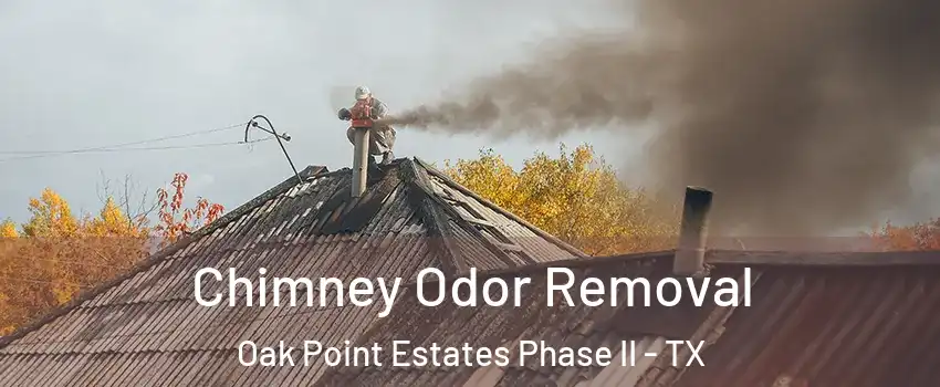 Chimney Odor Removal Oak Point Estates Phase II - TX