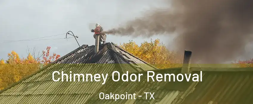 Chimney Odor Removal Oakpoint - TX