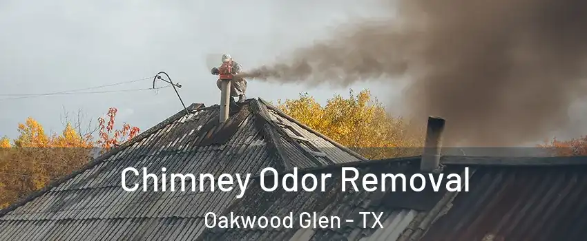 Chimney Odor Removal Oakwood Glen - TX
