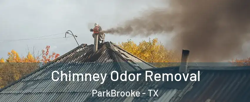 Chimney Odor Removal ParkBrooke - TX