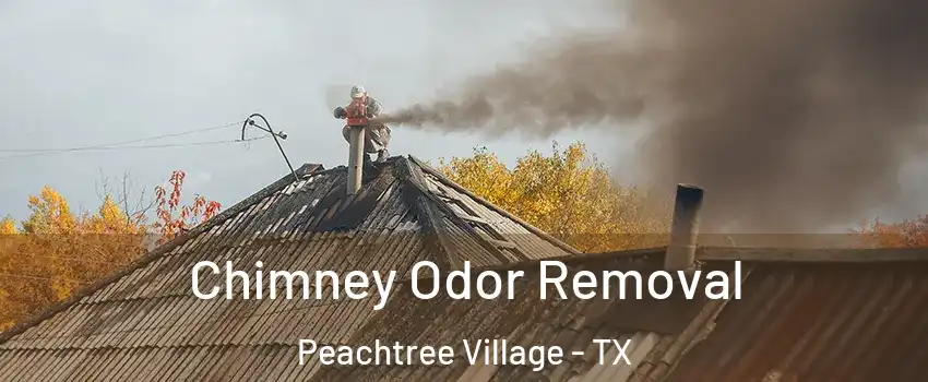 Chimney Odor Removal Peachtree Village - TX