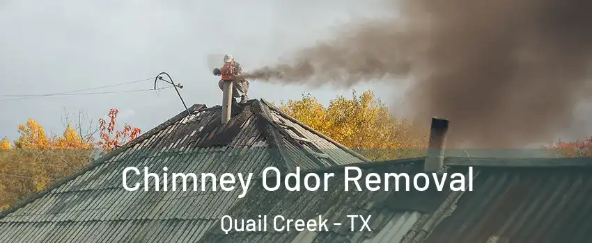Chimney Odor Removal Quail Creek - TX