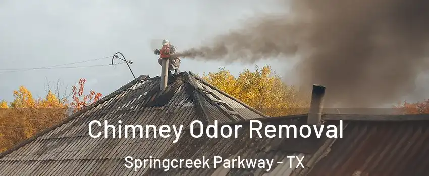 Chimney Odor Removal Springcreek Parkway - TX