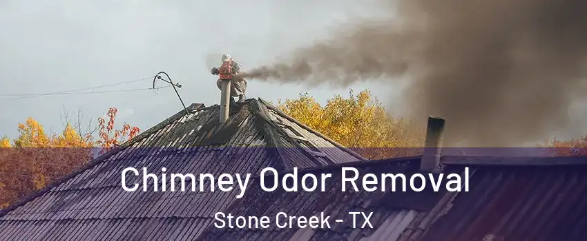 Chimney Odor Removal Stone Creek - TX