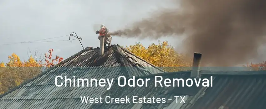 Chimney Odor Removal West Creek Estates - TX