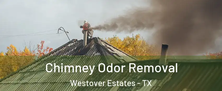 Chimney Odor Removal Westover Estates - TX
