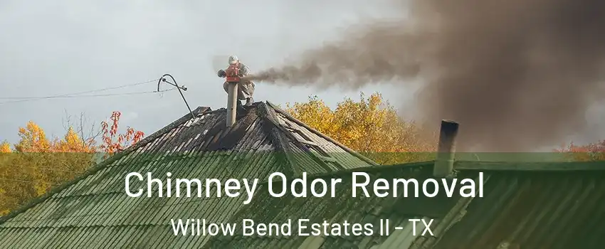 Chimney Odor Removal Willow Bend Estates II - TX