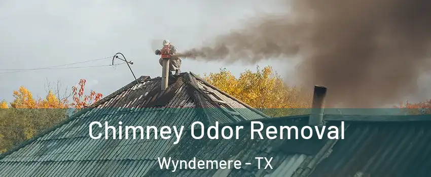 Chimney Odor Removal Wyndemere - TX