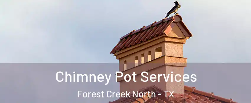 Chimney Pot Services Forest Creek North - TX