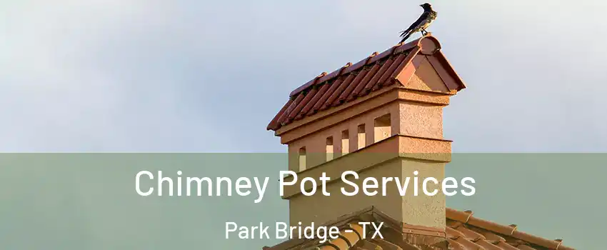 Chimney Pot Services Park Bridge - TX