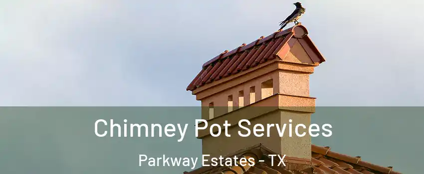 Chimney Pot Services Parkway Estates - TX