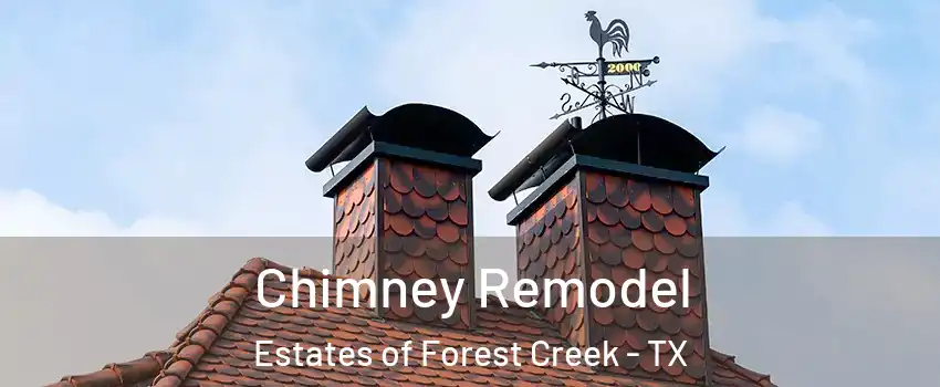 Chimney Remodel Estates of Forest Creek - TX
