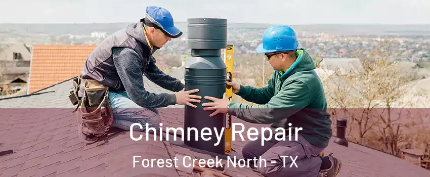 Chimney Repair Forest Creek North - TX