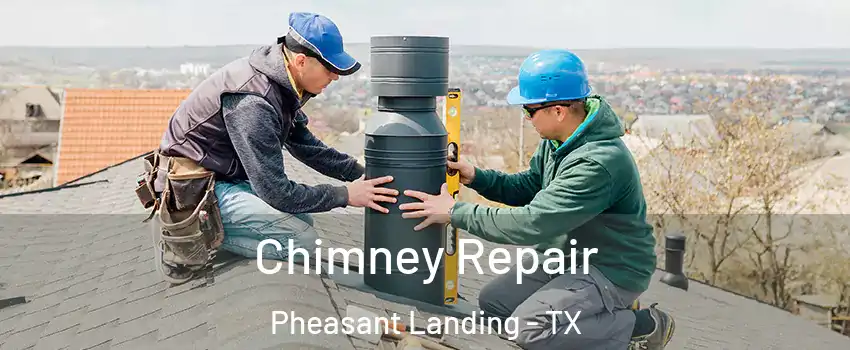Chimney Repair Pheasant Landing - TX