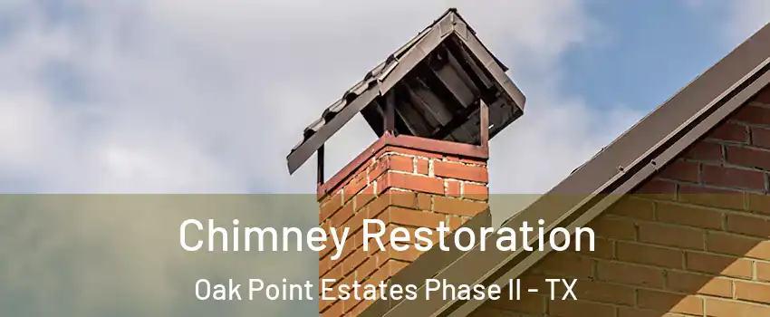 Chimney Restoration Oak Point Estates Phase II - TX