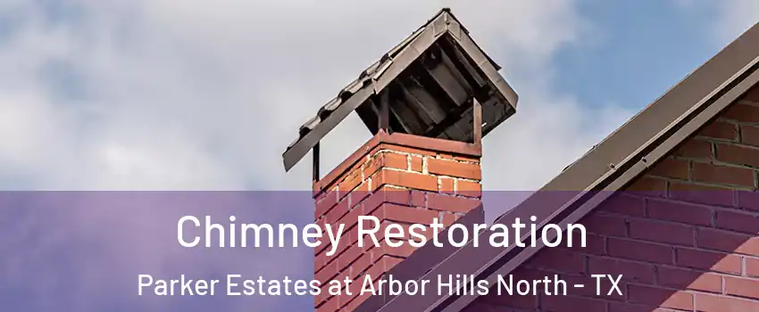 Chimney Restoration Parker Estates at Arbor Hills North - TX