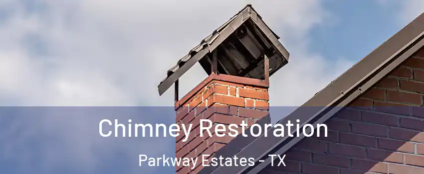 Chimney Restoration Parkway Estates - TX