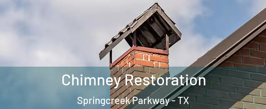 Chimney Restoration Springcreek Parkway - TX