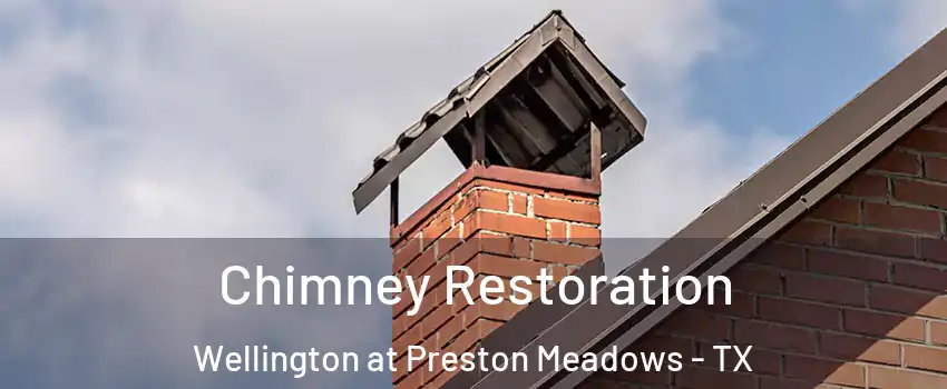 Chimney Restoration Wellington at Preston Meadows - TX