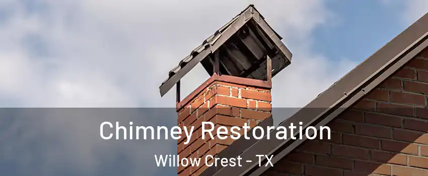 Chimney Restoration Willow Crest - TX