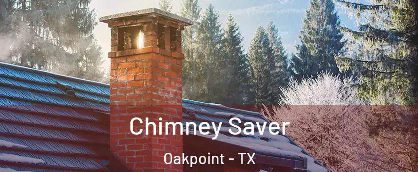 Chimney Saver Oakpoint - TX