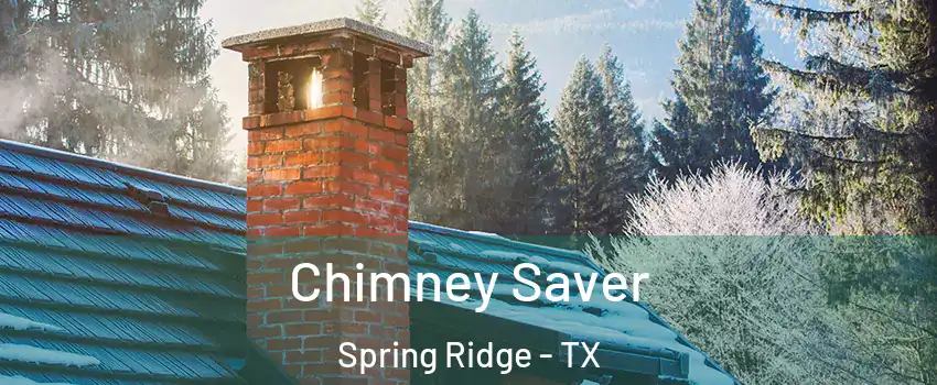 Chimney Saver Spring Ridge - TX