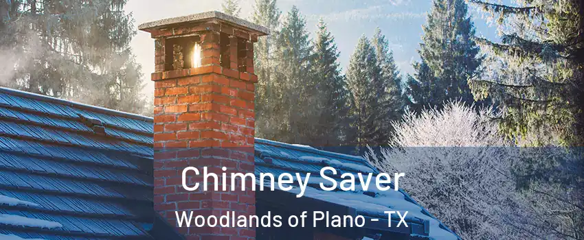 Chimney Saver Woodlands of Plano - TX