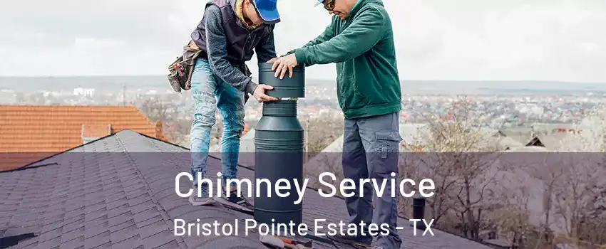 Chimney Service Bristol Pointe Estates - TX
