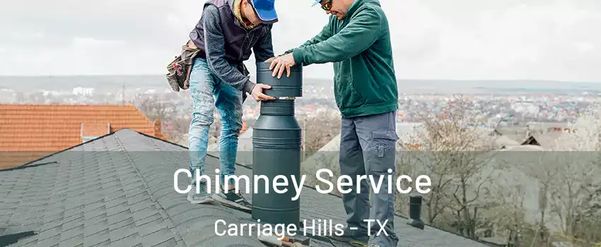 Chimney Service Carriage Hills - TX