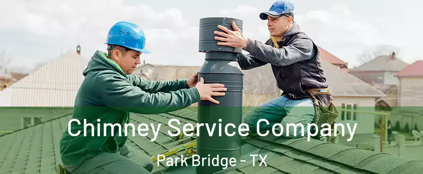 Chimney Service Company Park Bridge - TX