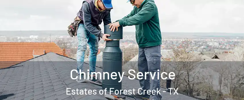 Chimney Service Estates of Forest Creek - TX