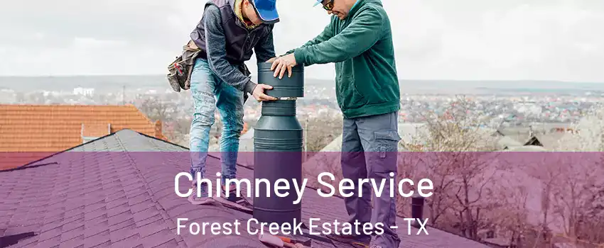 Chimney Service Forest Creek Estates - TX
