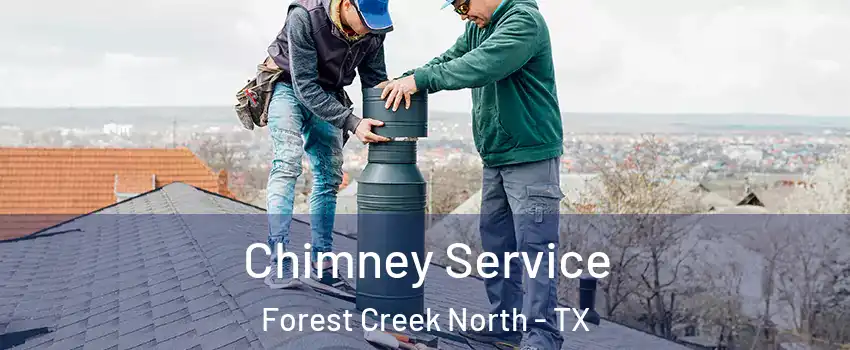 Chimney Service Forest Creek North - TX