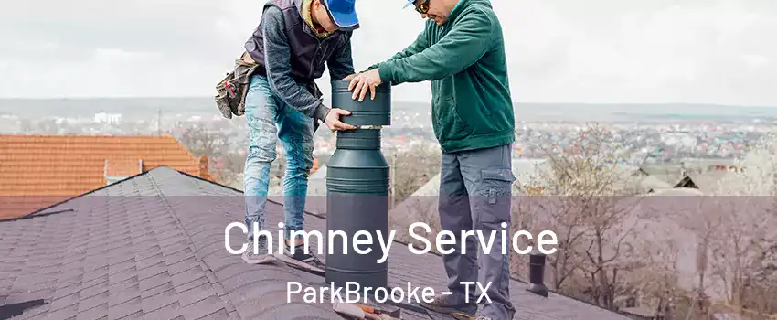 Chimney Service ParkBrooke - TX