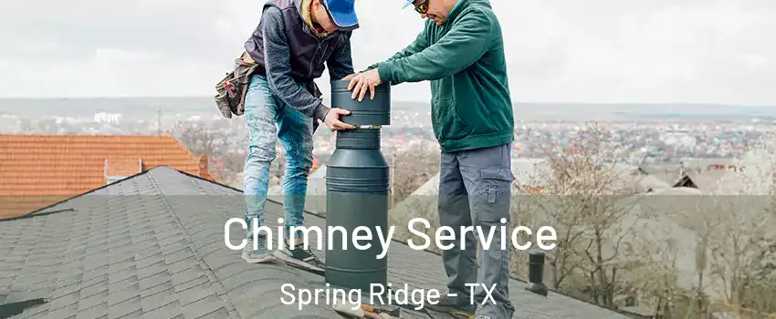 Chimney Service Spring Ridge - TX