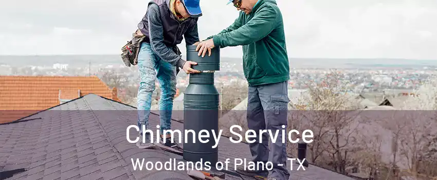 Chimney Service Woodlands of Plano - TX