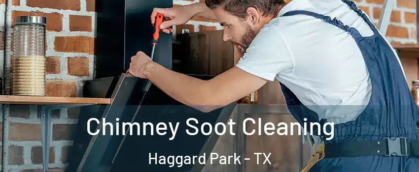 Chimney Soot Cleaning Haggard Park - TX