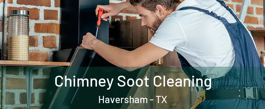 Chimney Soot Cleaning Haversham - TX