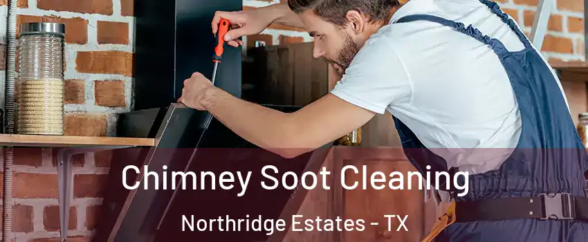 Chimney Soot Cleaning Northridge Estates - TX