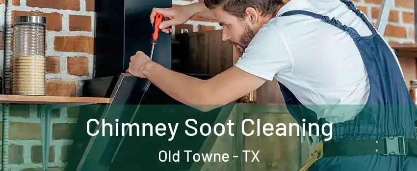 Chimney Soot Cleaning Old Towne - TX