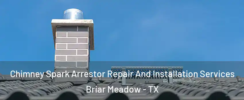 Chimney Spark Arrestor Repair And Installation Services Briar Meadow - TX