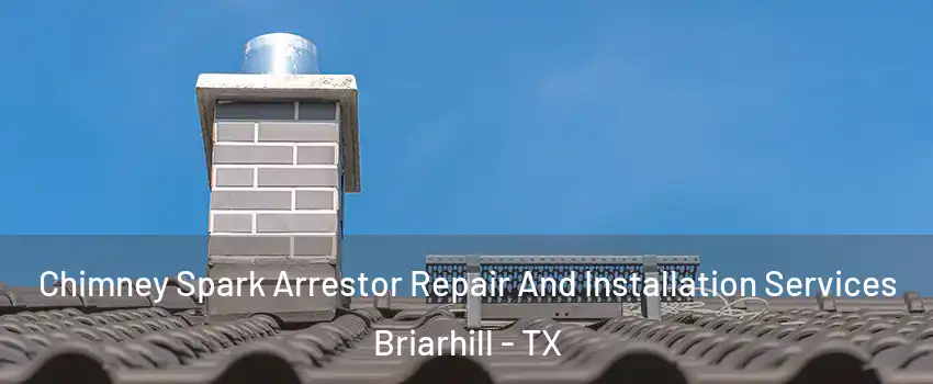 Chimney Spark Arrestor Repair And Installation Services Briarhill - TX