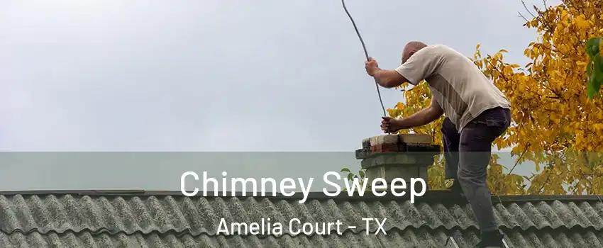 Chimney Sweep Amelia Court - TX