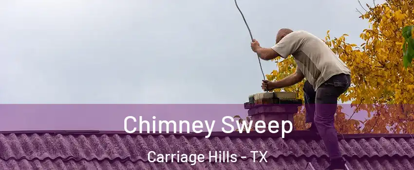Chimney Sweep Carriage Hills - TX