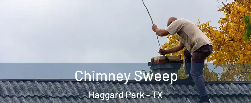 Chimney Sweep Haggard Park - TX