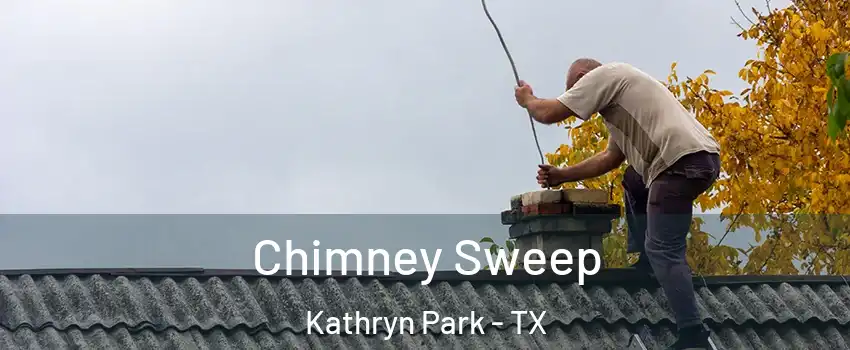 Chimney Sweep Kathryn Park - TX