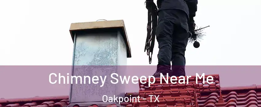 Chimney Sweep Near Me Oakpoint - TX