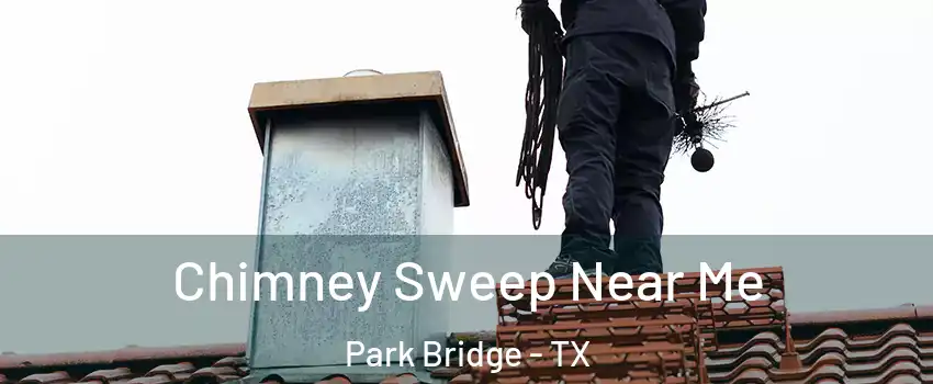 Chimney Sweep Near Me Park Bridge - TX