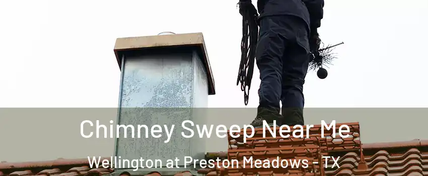 Chimney Sweep Near Me Wellington at Preston Meadows - TX